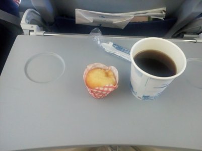 Muffin KLM.jpg