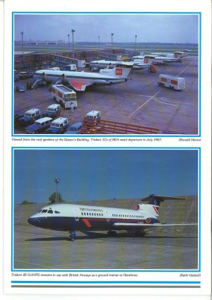 AA01-3.jpg