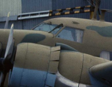 Fly.jpg
