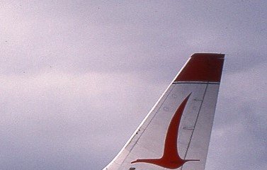 TAIL9.jpg