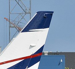 tail7.jpg