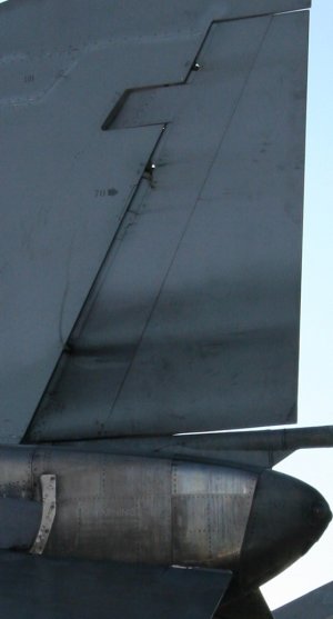 IMG_6987.jpg