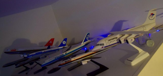 DSC_0768.jpg