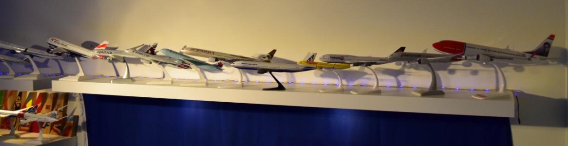 DSC_0769.jpg