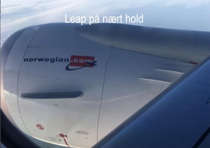 Leap på nært hold.jpg