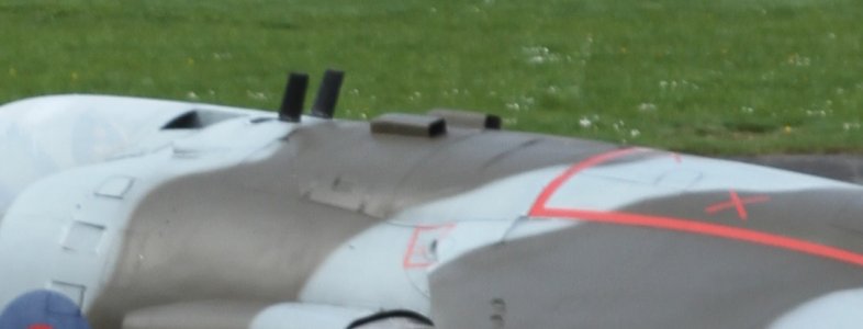 crop3.jpg
