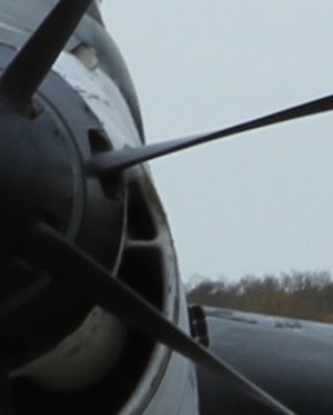 crop4.jpg