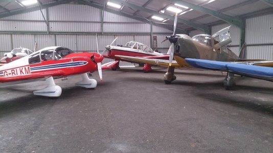 DSC_1017.JPG