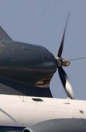 FlytypeX.png