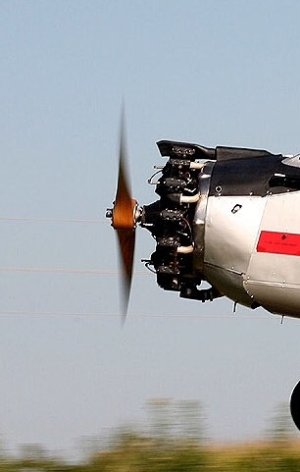 IMG_3495.JPG
