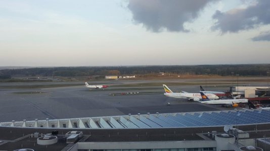 20170930_073435.jpg