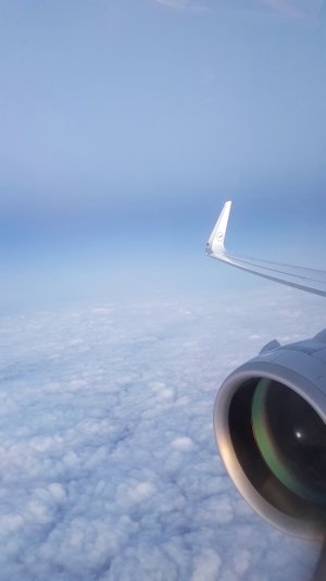 20171229_080003.jpg
