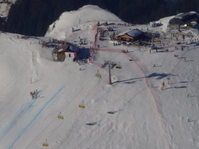 P1133392.jpg