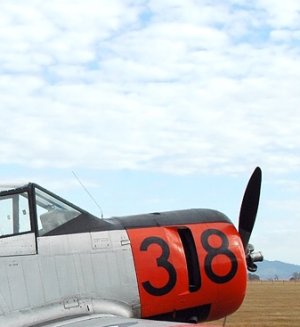 100B6B6F-294D-4B17-BF25-806B54032A32.jpeg