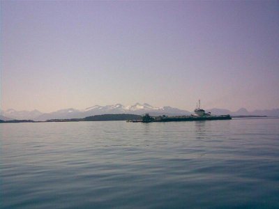 08062007(001) (Large) (Medium).jpg