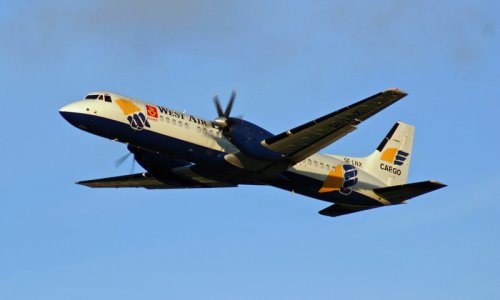 IMG_3794_2.jpg