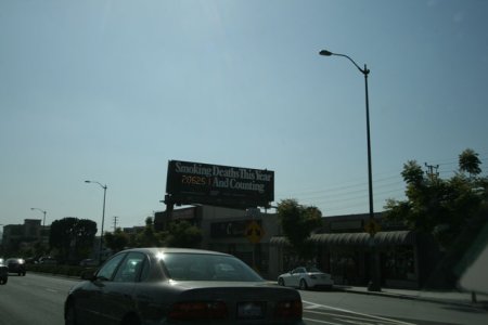 IMG_8379.jpg