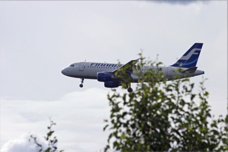 finnair-skog.jpg