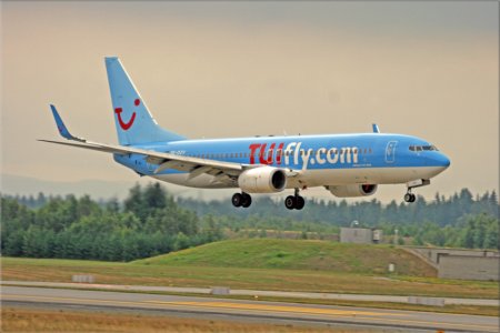 tui.jpg