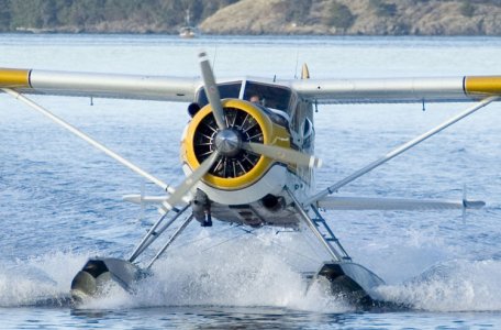 friday_harbor5.jpg