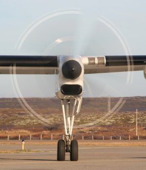 wf22.jpg