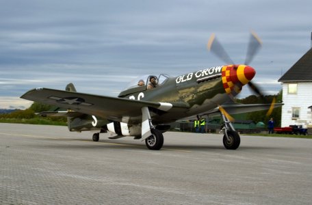 mustang.jpg