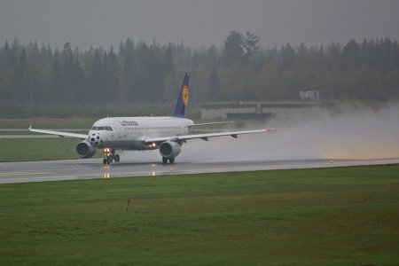 lhaiql-300906-2-f.jpg