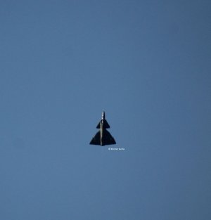 IMG_0964.jpg