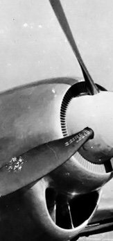 96F6B3FD-E1C1-409B-9D30-281C02AA28B6.jpeg