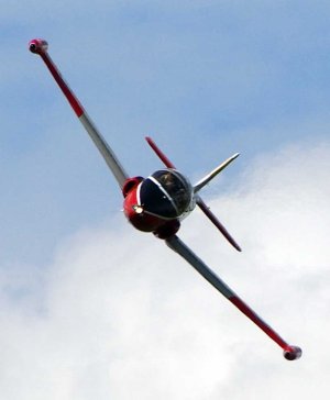 Fly.jpg