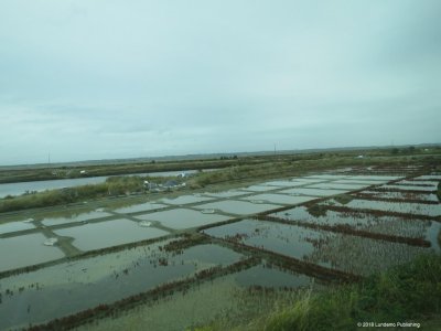 IMG_3373.jpg