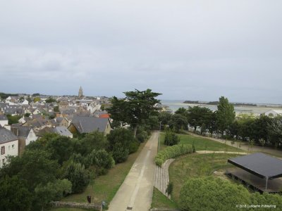 IMG_3382.jpg