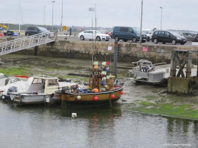 IMG_3440.jpg