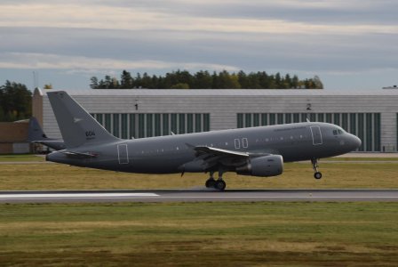 A319 Ungarn.jpg