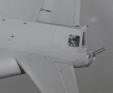 Fly.jpg