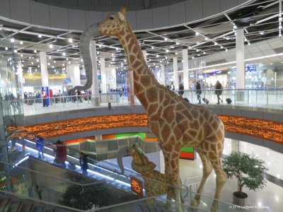 Nairobi c.jpg
