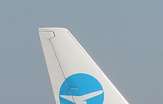 tailtop.jpg