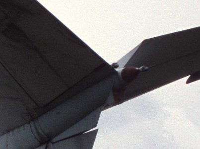 fly.jpg