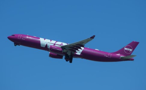 WOW A330.jpg