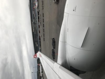 1C3C526E-AA7D-4E1B-B307-04426BD3DFEA.jpg