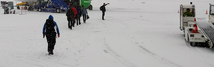 fsnø.png