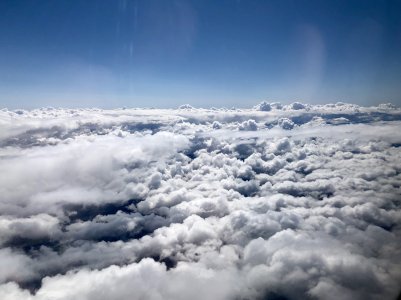 IMG_1170.jpg