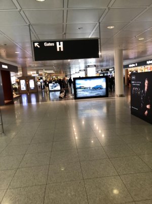 IMG_1182.jpg