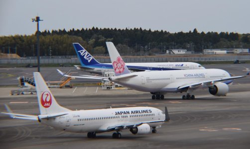 NRT1.jpg