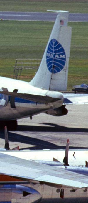 05577.jpg