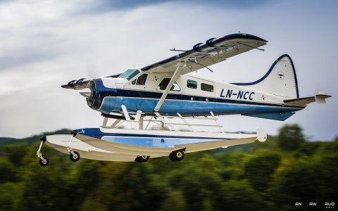 LN-NCC.jpg
