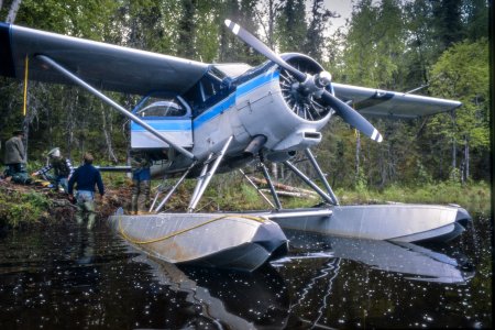 BeaverAlaska1987.JPEG