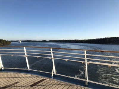IMG_2380.jpg
