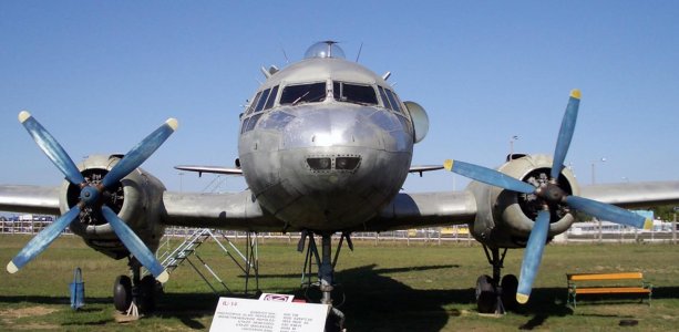 IL14.jpg