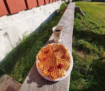 rps20191006_111239_367.jpg